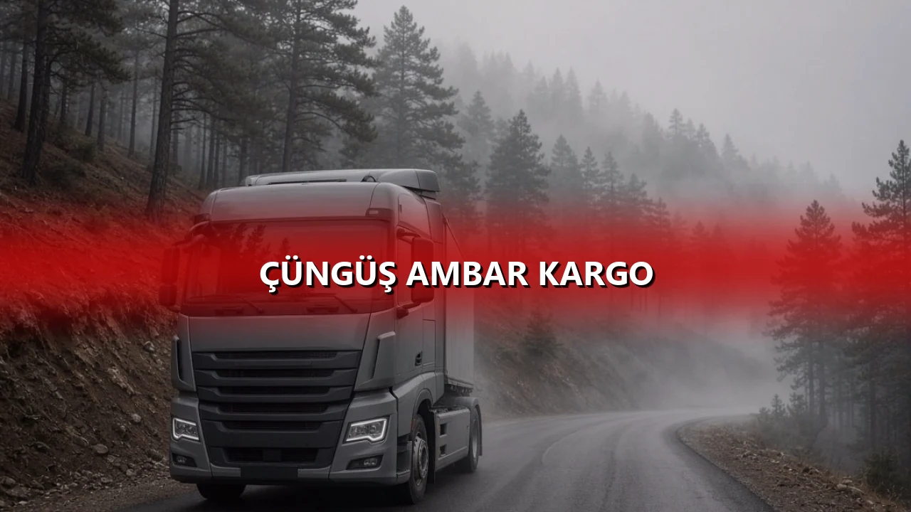 Çüngüş Ambar Kargo